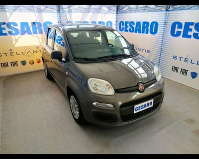 Fiat Panda 1.0 firefly hybrid s&s 70cv 5p.ti usata