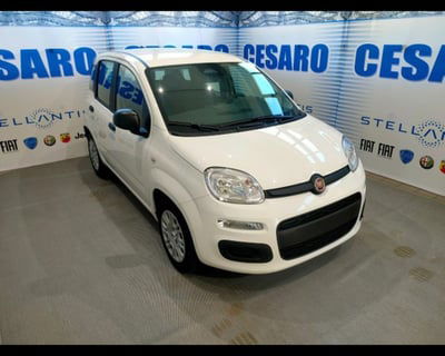 Fiat Panda 1.0 firefly hybrid s&s 70cv 5p.ti nuova