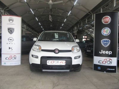 Fiat Panda 1.0 FireFly S&S Hybrid City Cross usata