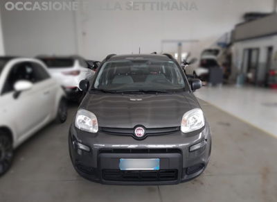 Fiat Panda 1.0 firefly hybrid s&s 70cv 5p.ti usata