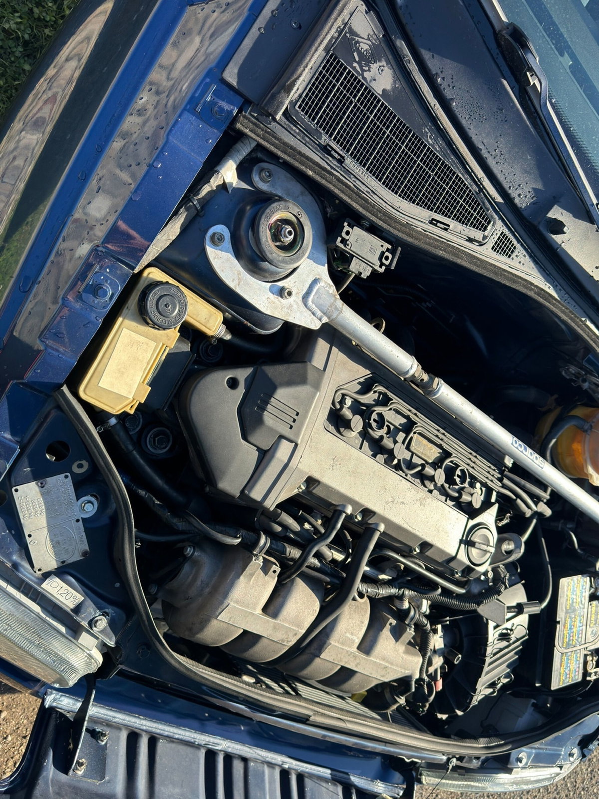 Renault Clio 16V cat (18)
