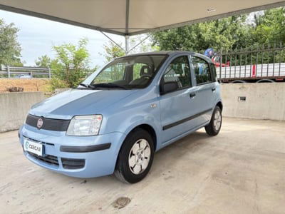 Fiat Panda 1.1 Active usata