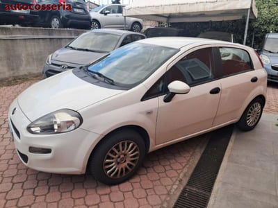 Fiat Punto Evo 1.3 Mjt 75 CV 5 porte Active usata
