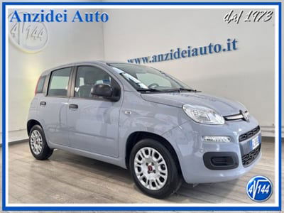 Fiat Panda 1.0 firefly hybrid s&s 70cv 5p.ti usata