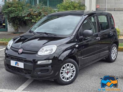 Fiat Panda 1.2 Easy usata