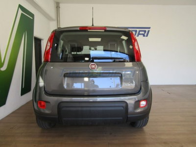 Fiat Panda 1.0 firefly hybrid s&s 70cv 5p.ti (14)