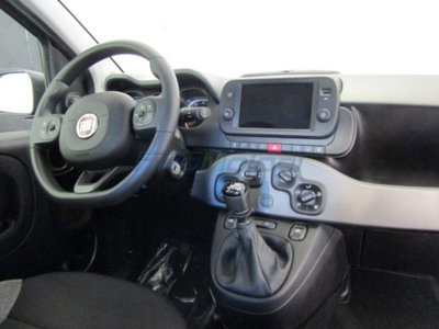 Fiat Panda 1.0 firefly hybrid s&s 70cv 5p.ti (6)