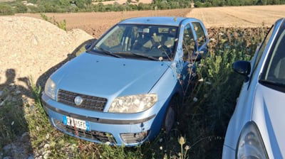 Fiat Punto 1.2 5 porte Active Natural Power usata