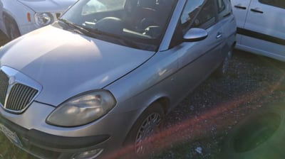 Lancia Ypsilon Multijet 16V Platino usata