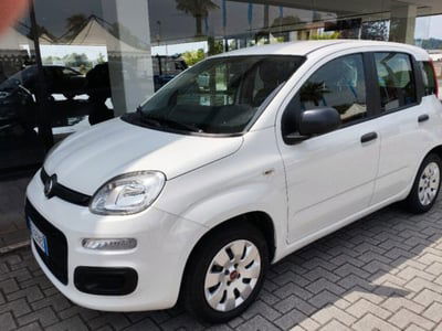 Fiat Panda 1.2 Pop usata