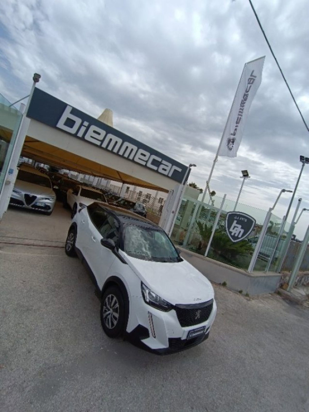 Peugeot 2008 PureTech 100 S&S Allure (8)