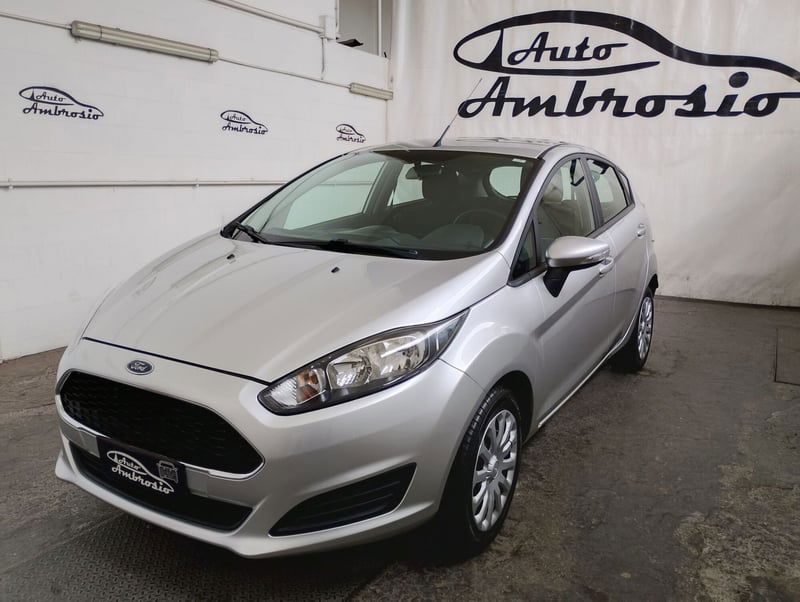 Ford Fiesta 1.4 5 porte Bz.- GPL Black & White Edition
