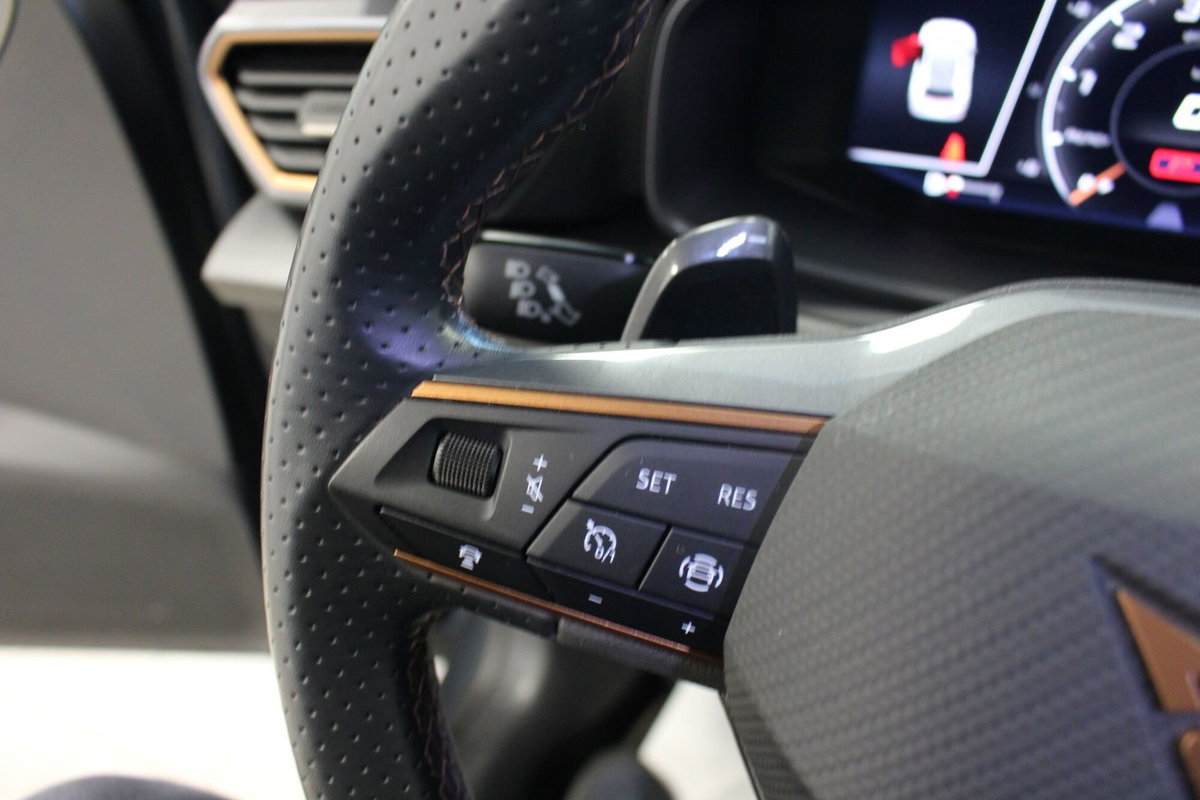 Cupra Formentor Formentor 1.5 TSI (11)