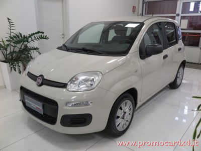Fiat Panda 1.2 Easy usata
