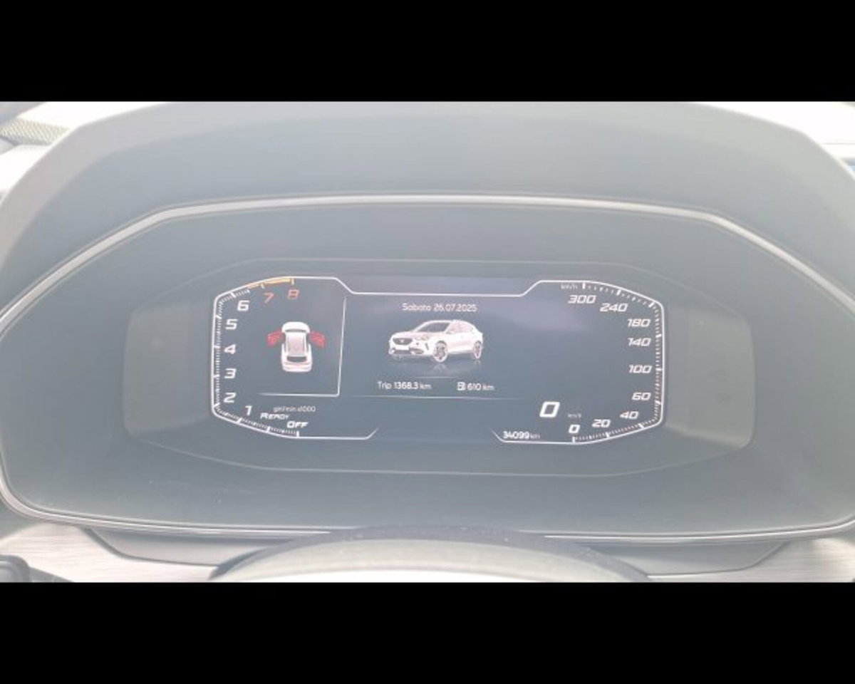 Cupra Formentor Formentor 1.5 TSI (15)