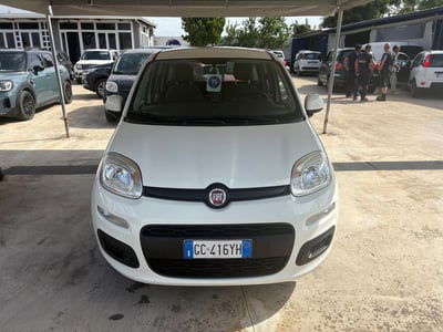 Fiat Panda 1.2 EasyPower Easy usata