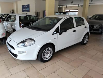 Fiat Punto 1.3 MJT II S&S 95 CV 5 porte Street usata