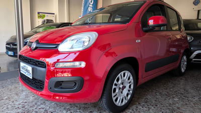 Fiat Panda 1.2 Pop usata