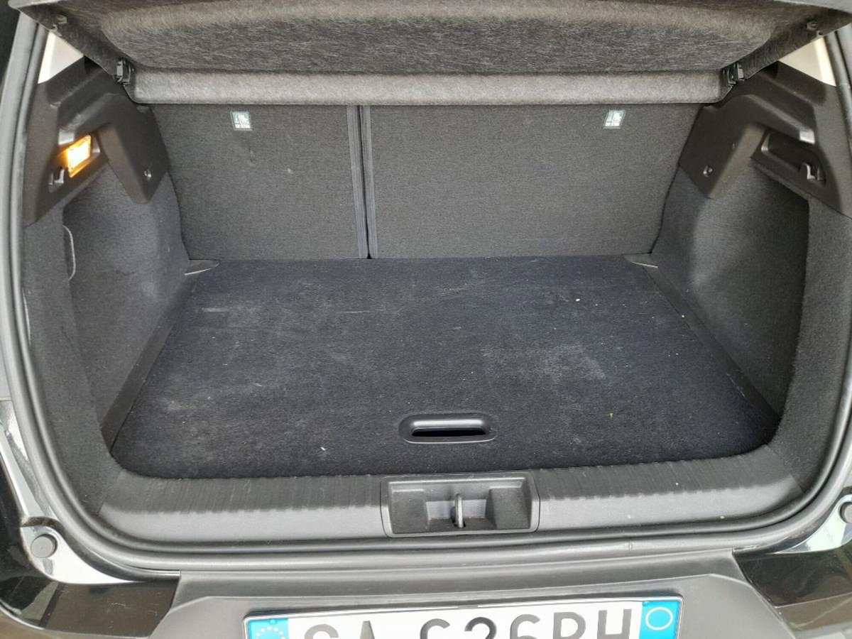 Renault Captur Blue dCi 95 CV Business (18)