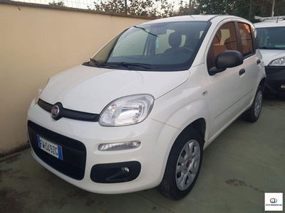 Fiat Panda 0.9 TwinAir Turbo Natural Power Easy usata