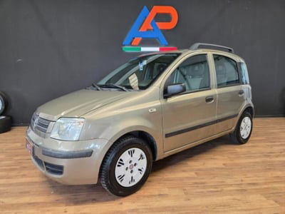 Fiat Panda 1.2 Dynamic usata