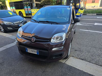 Fiat Panda 1.2 Pop usata