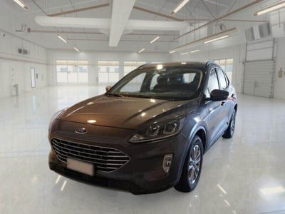 Ford Kuga 1.5 EcoBlue 120 CV 2WD Titanium usata