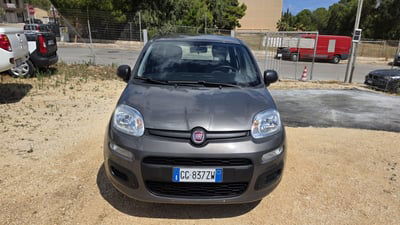 Fiat Panda Cross Cross 1.0 FireFly S&S Hybrid usata
