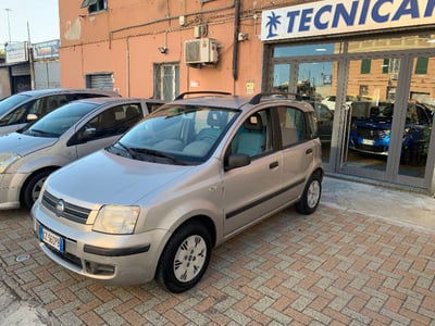 Fiat Panda 1.2 Dynamic usata