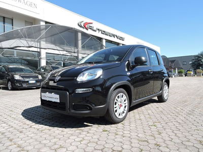 Fiat Panda Cross Cross 1.0 FireFly S&S Hybrid usata