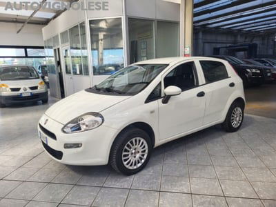 Fiat Punto 1.4 8V 5 porte Natural Power Easy usata