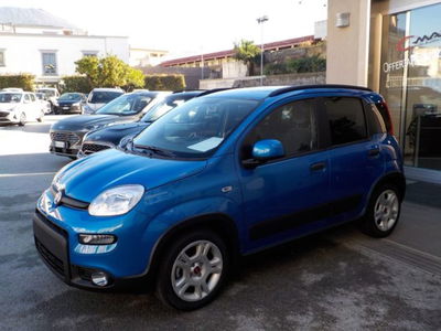 Fiat Panda 1.0 firefly hybrid Icon s&s 70cv nuova