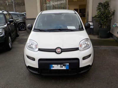 Fiat Panda 1.0 firefly hybrid Icon s&s 70cv nuova