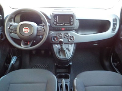 Fiat Panda 1.0 firefly hybrid Icon s&s 70cv (7)
