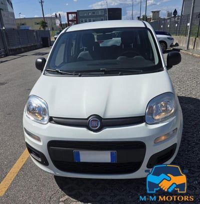 Fiat Panda 1.2 Easy usata