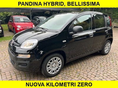 Fiat Panda 1.0 firefly hybrid s&s 70cv 5p.ti nuova