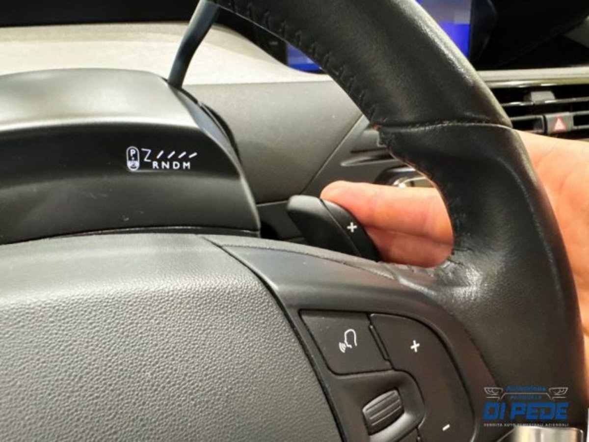 Citroen Grand C4 SpaceTourer Grand  Space  BlueHDi 130 S&S EAT8 Business (20)