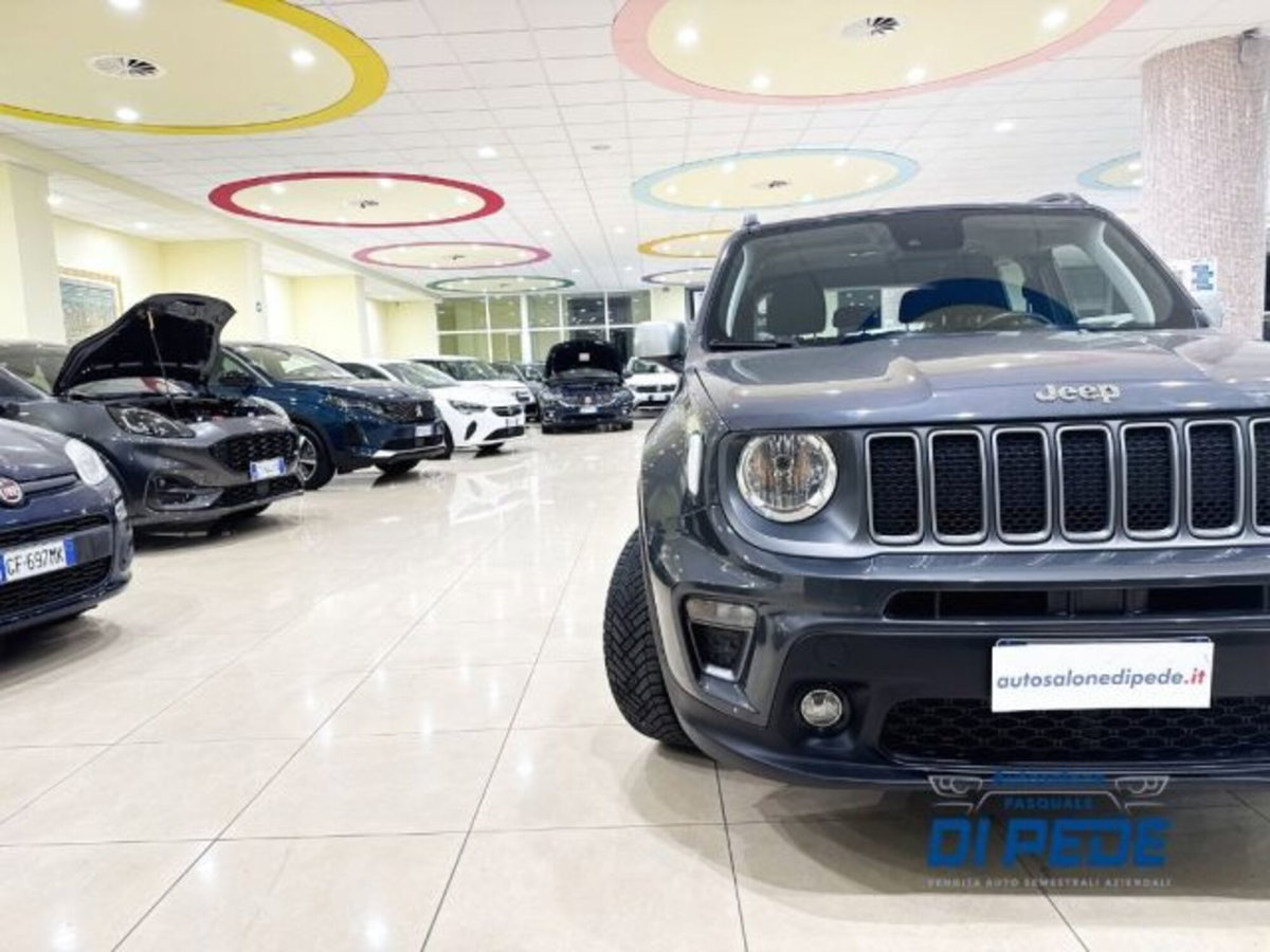 Jeep Renegade 1.6 Mjt 130 CV Limited (12)