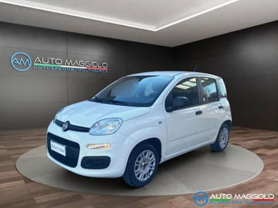 Fiat Panda 1.2 EasyPower Easy usata