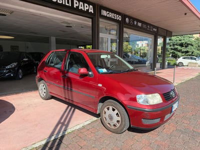 Volkswagen Polo 1.4 cat 5 porte Comfortline Air usata