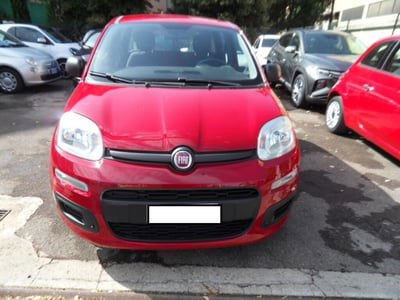 Fiat Panda 1.2 Easy usata