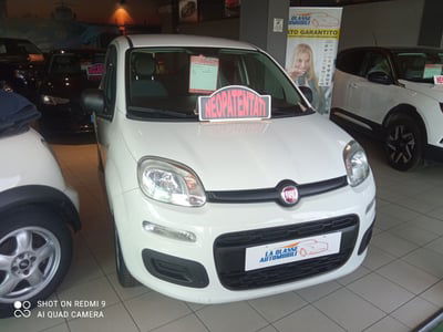 Fiat Panda Cross Cross 1.0 FireFly S&S Hybrid usata