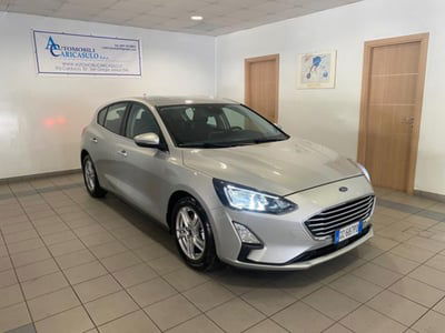 Ford Focus 1.5 EcoBlue 120 CV 5p. Business usata