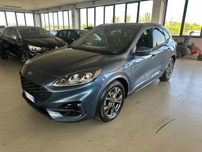 Ford Kuga 2.0 EcoBlue 120 CV aut. 2WD ST-Line X usata