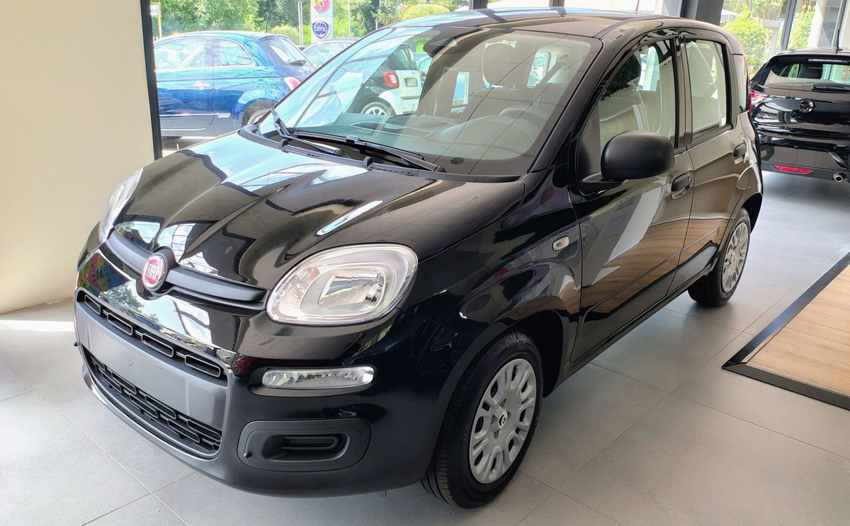 Fiat Panda 1.0 FireFly S&S Hybrid City Cross (2)