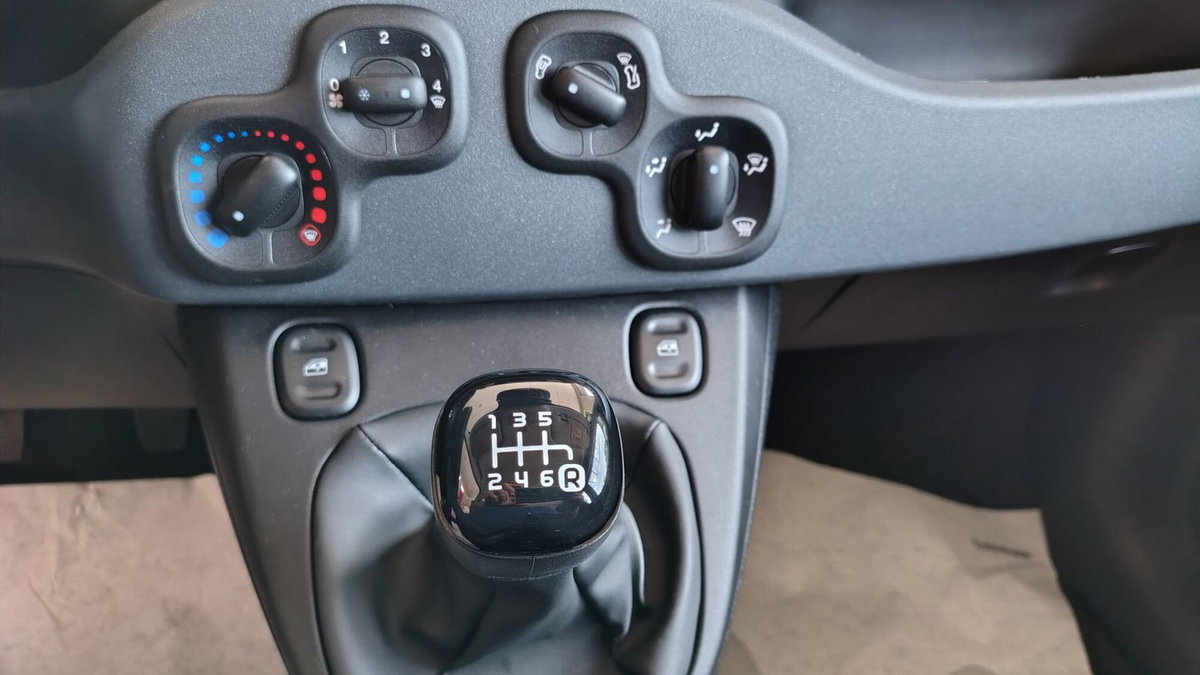 Fiat Panda 1.0 FireFly S&S Hybrid City Cross (20)