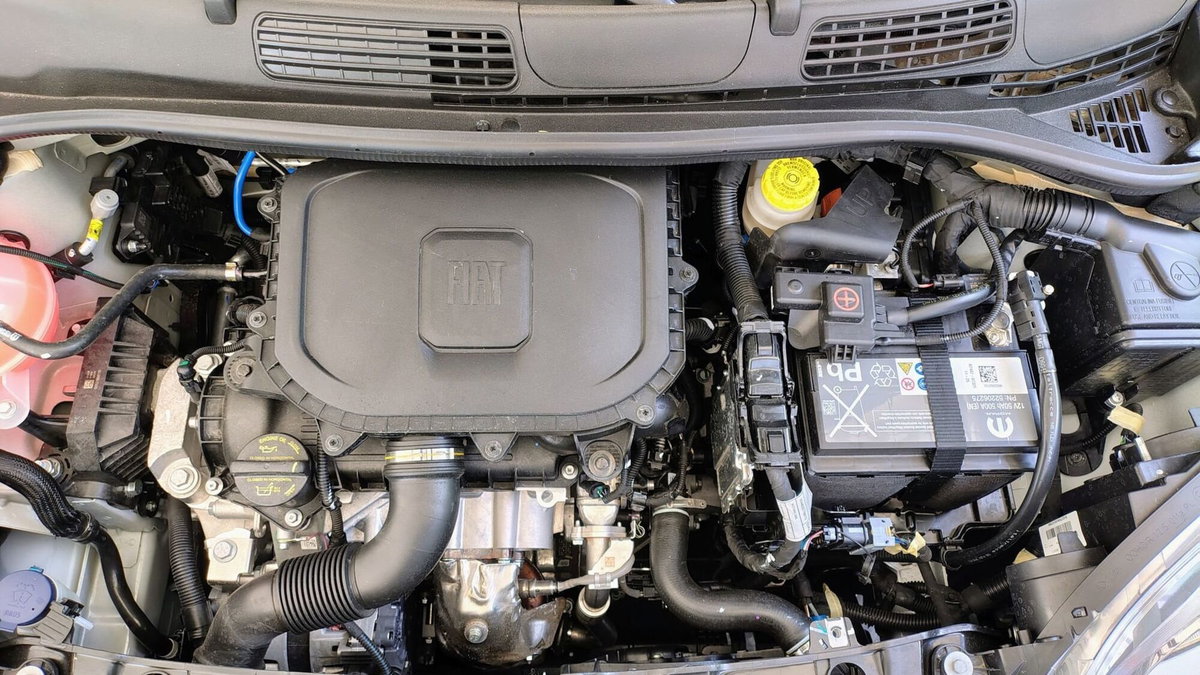 Fiat Panda 1.0 FireFly S&S Hybrid City Cross (6)