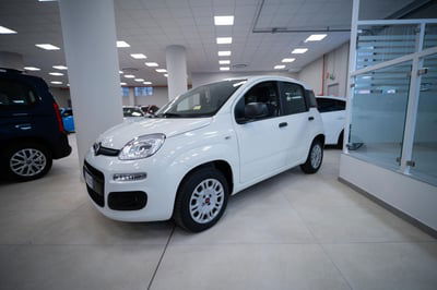 Fiat Panda 1.2 Easy usata