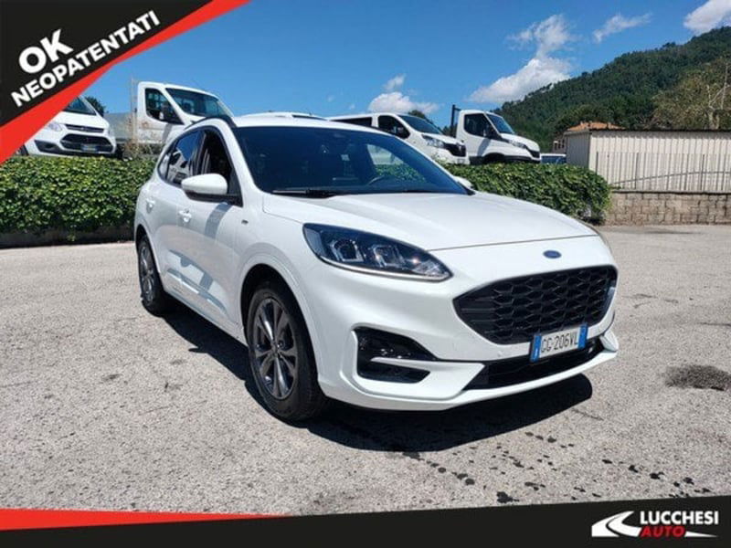 Ford Kuga 1.5 EcoBlue 120 CV 2WD ST-Line