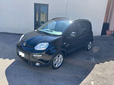 Fiat Panda 1.0 FireFly S&S Hybrid City Cross usata
